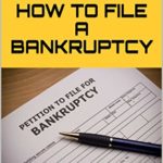 how to file a bankruptcy book